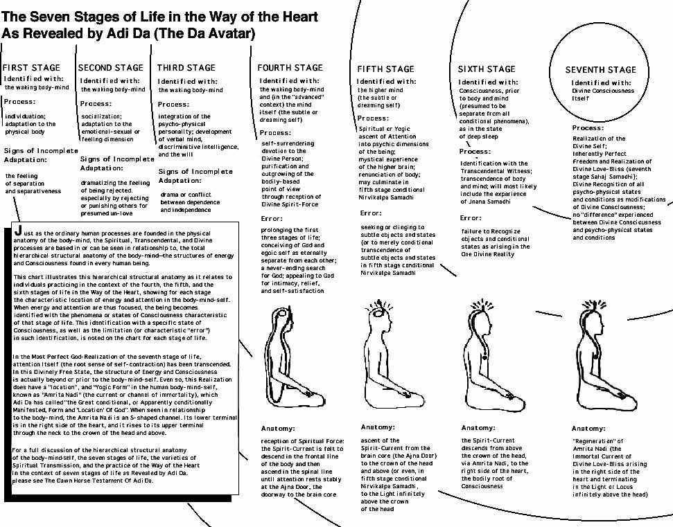 Seven+stages+of+life